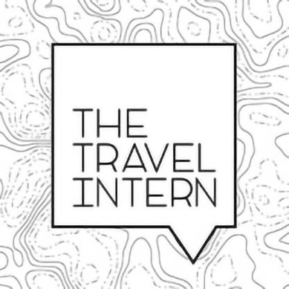 the_travel_intern_logo.jpeg